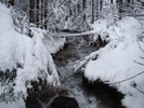 DSC06958
