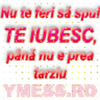 Nu te feri s%u0103 spui TE IUBESC, p?n%u0103 nu e prea tarziu copy copy_0