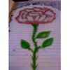 img12883625101945