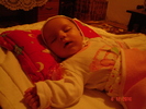 DSC03536