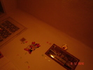 DSC03554