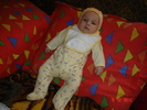 DSC03558