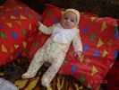 DSC03561