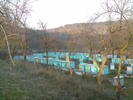 Soare zgarcit de primavara