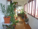 DSC06581