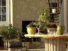 Home_1019