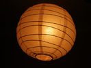 light_1003