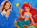 ariel