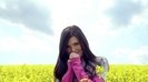paula_seling[1]