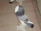 m sk 2010