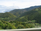 IMG_0276