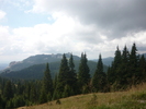 P1010638