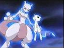 mew and mewtwo