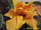 Picture 012