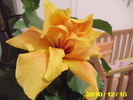 Picture 011