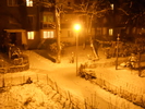 Picture 002