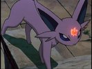 espeon:ce e ...?