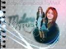 15191949_YOHCDADSW