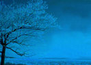 Backgrounds (55)