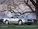 Cars (63)