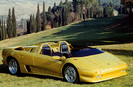 Lamborghini (9)
