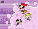 Powerpuff girl (13)