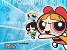 Powerpuff girl (16)