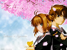 Card Captor Sakura (20)