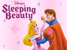 Sleeping Beauty (2)