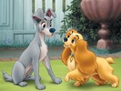 Lady and the tramp (9)