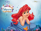 Little Mermaid (9)