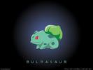 Pokemon (28)