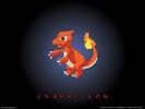 Pokemon (33)