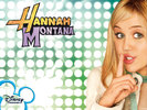 Hannah Montana  (14)