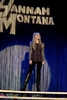 Hannah Montana  (29)