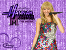 Hannah Montana 3 (33)