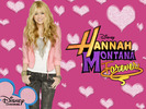 Hannah Montana Forever (3)