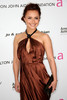 Hayden+Panettiere+Updos+Bobby+Pinned+updo+zsU3YkKVgHSl