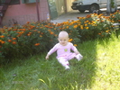 HPIM2982