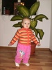 HPIM3693