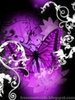 25044489_BTOSQVHIW