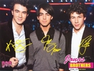 Bop magazine (51)