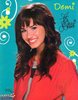 Tiger Beat magazine (31)
