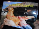 DSCN1973