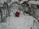 19.12.2010