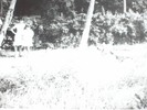 amintiri (60)