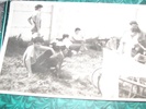 amintiri (69)