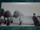 amintiri (79)