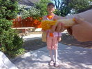 01062010066