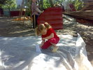 01062010068